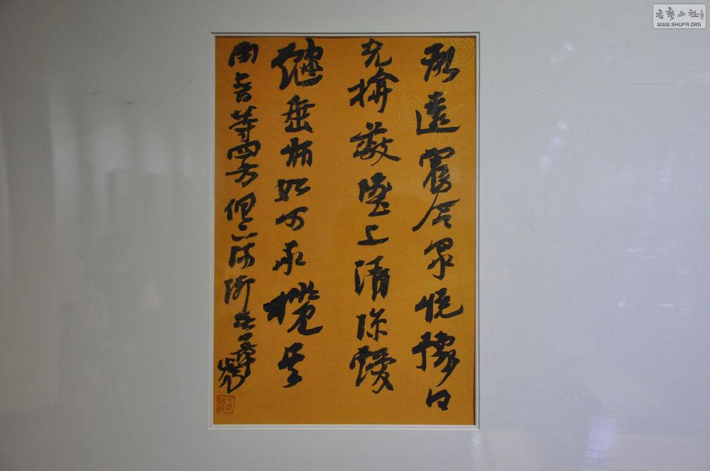 DSC_0447.jpg