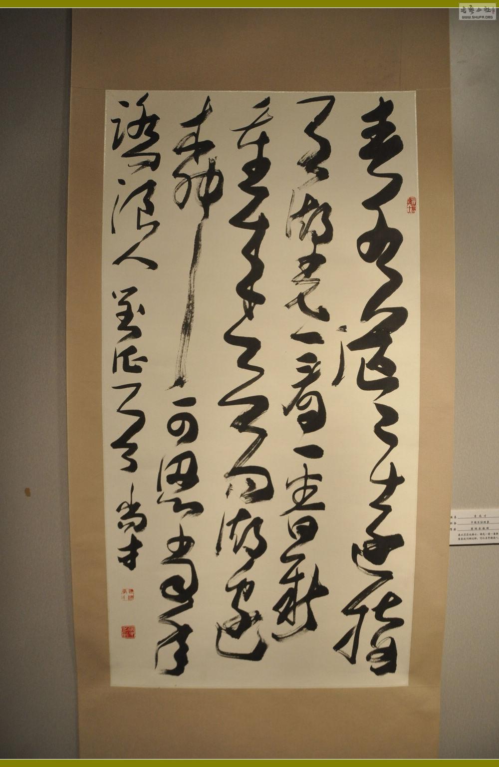 DSC_0126.jpg