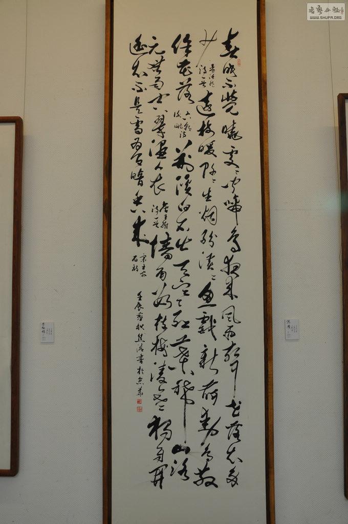 DSC_0078.jpg
