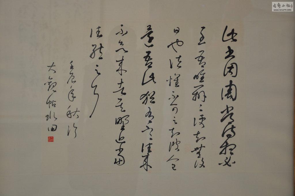 DSC_0109.jpg