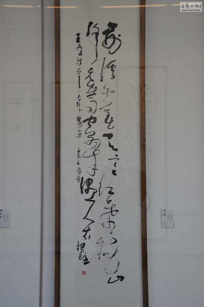 DSC_0130.jpg