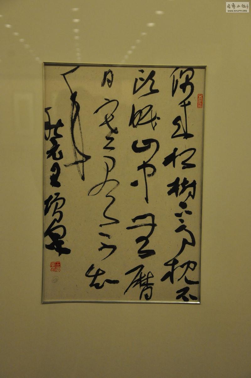 DSC_0283.jpg