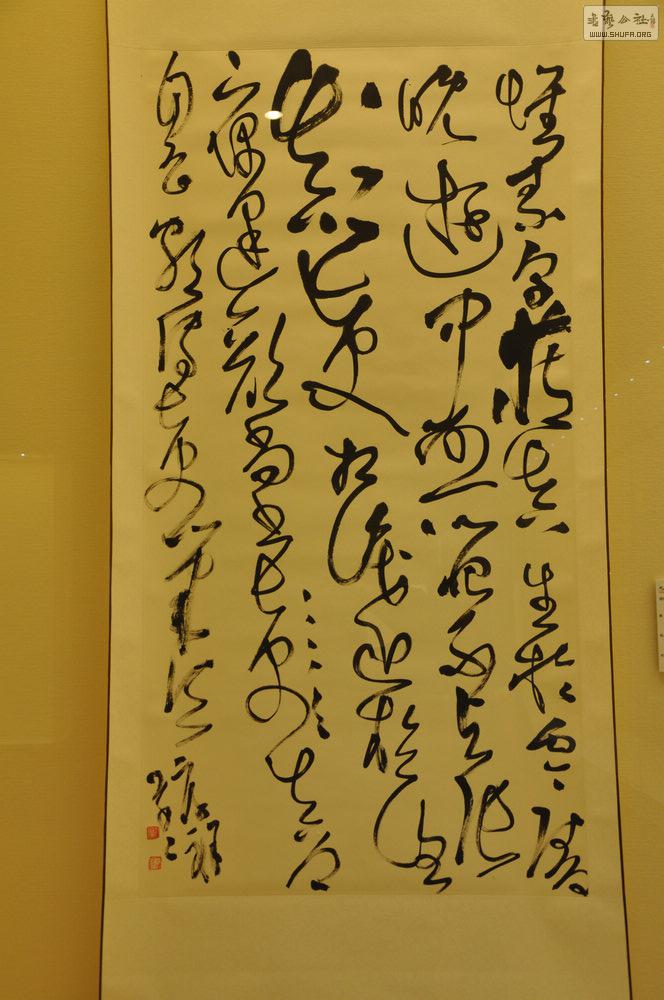 DSC_0255.jpg