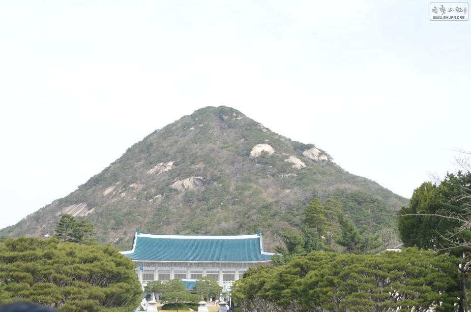 03.jpg