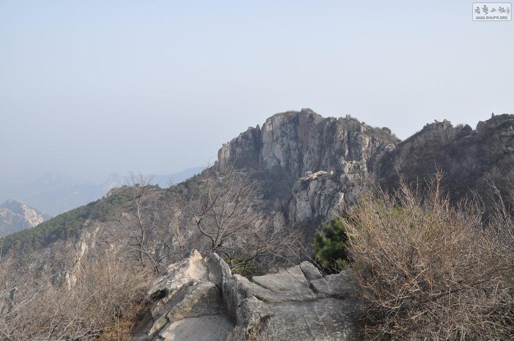 DSC_0050.jpg
