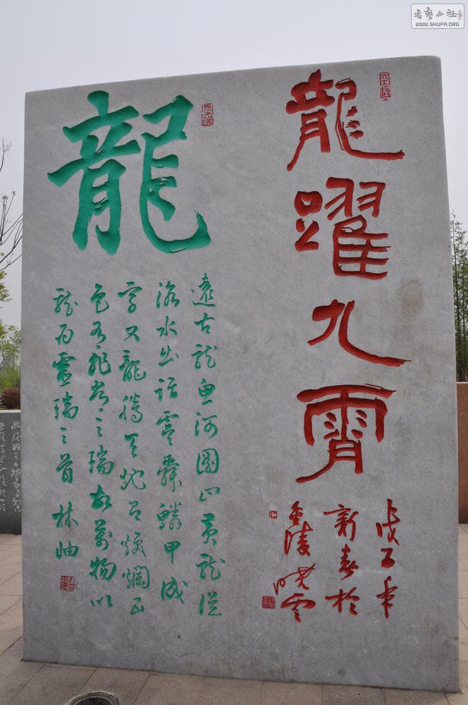 DSC_0224.jpg