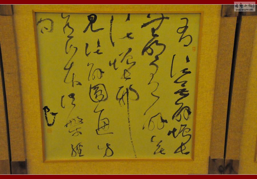 ż 162.jpg