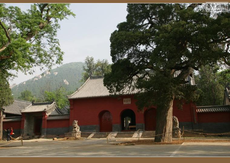 ֮н028-XU4J3146.JPG