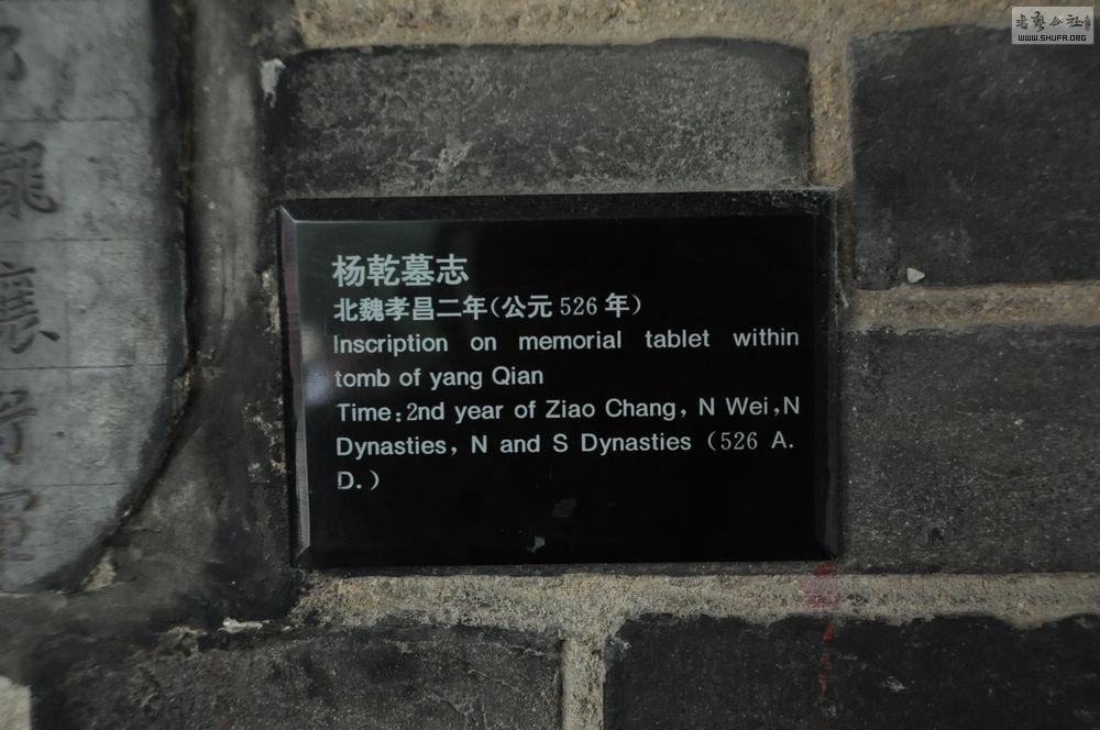 DSC_0046.jpg