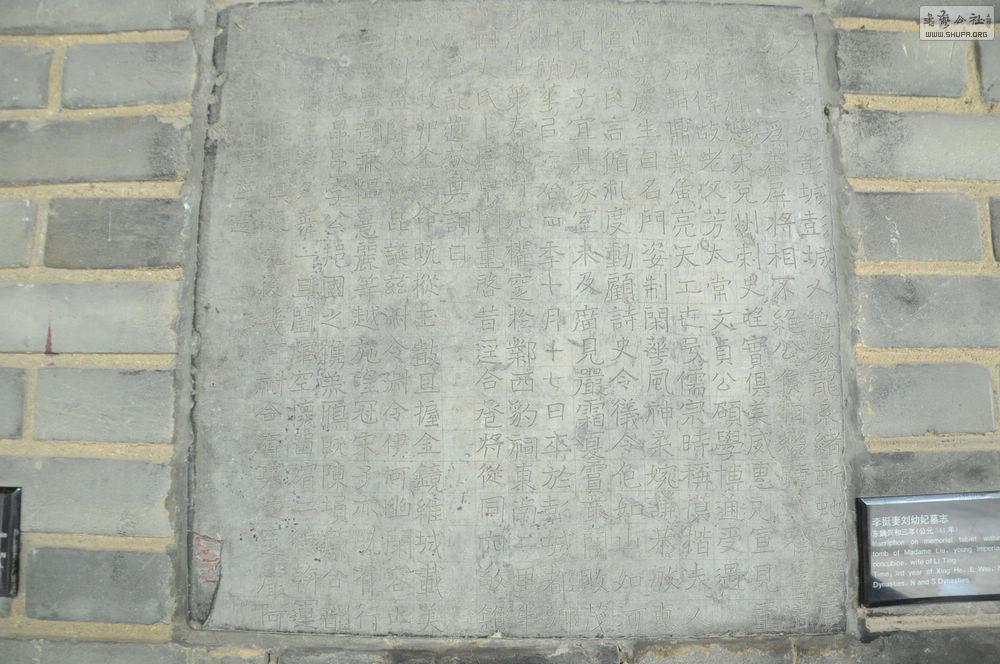 DSC_0078.jpg
