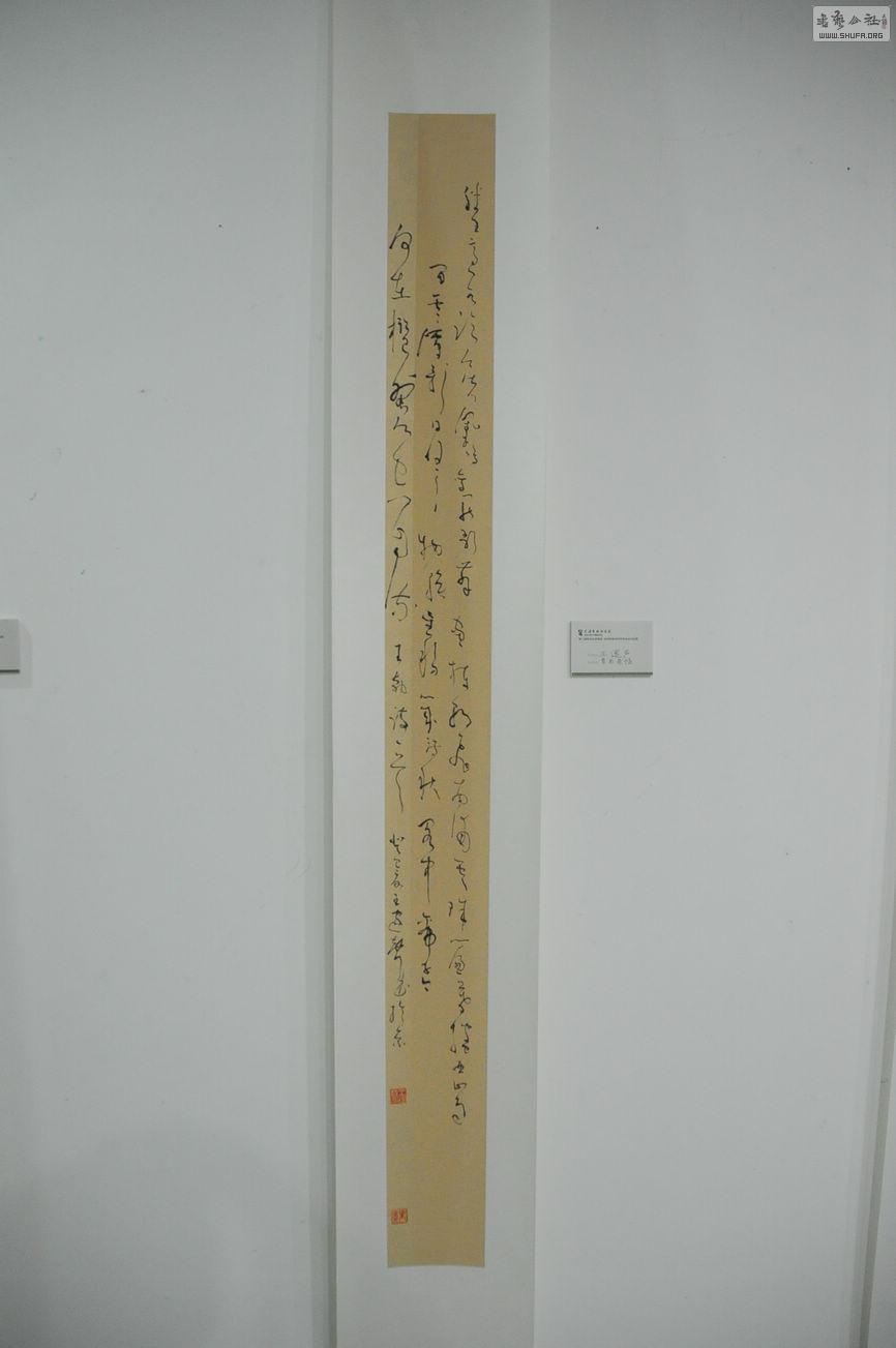 DSC_0079.jpg