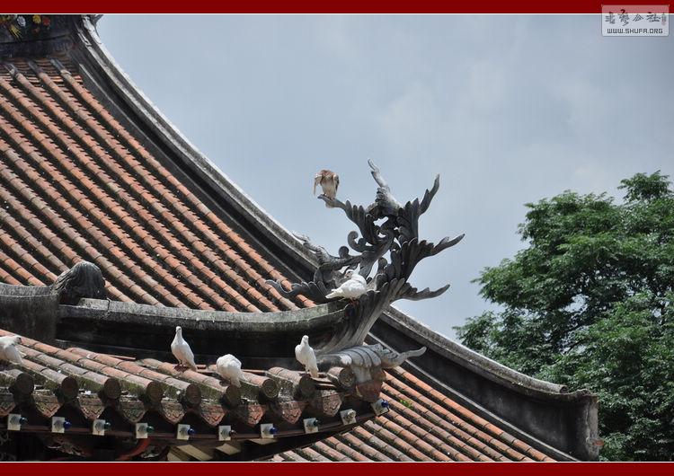 DSC_0084ȪݿԪ.JPG