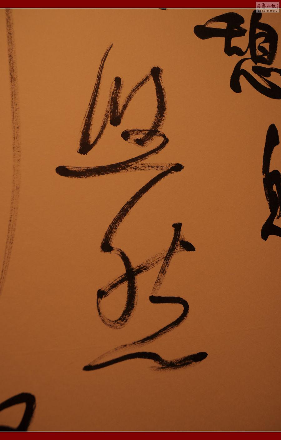 DSC_0237.jpg
