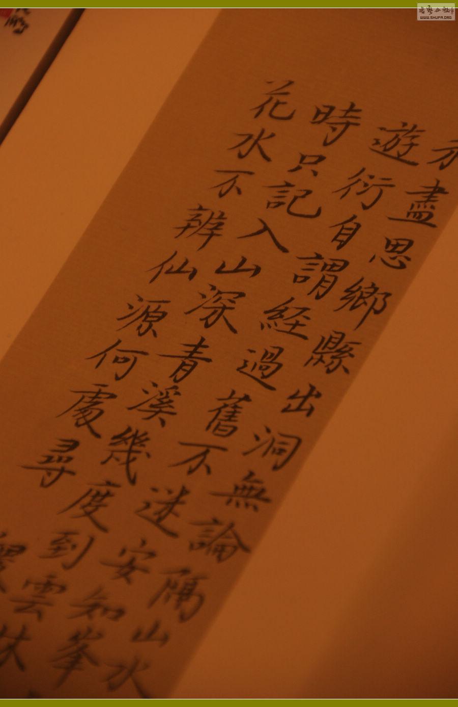 DSC_0320.jpg