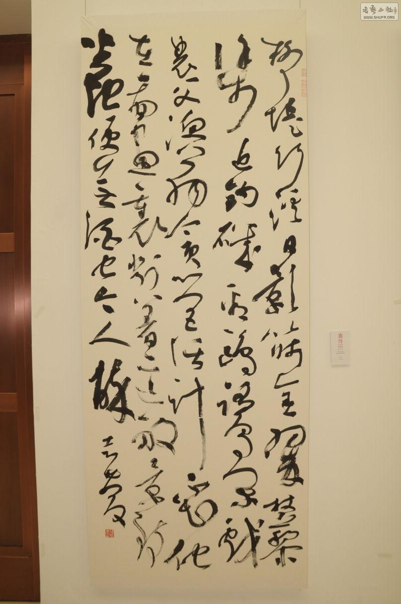 DSC_0082.jpg