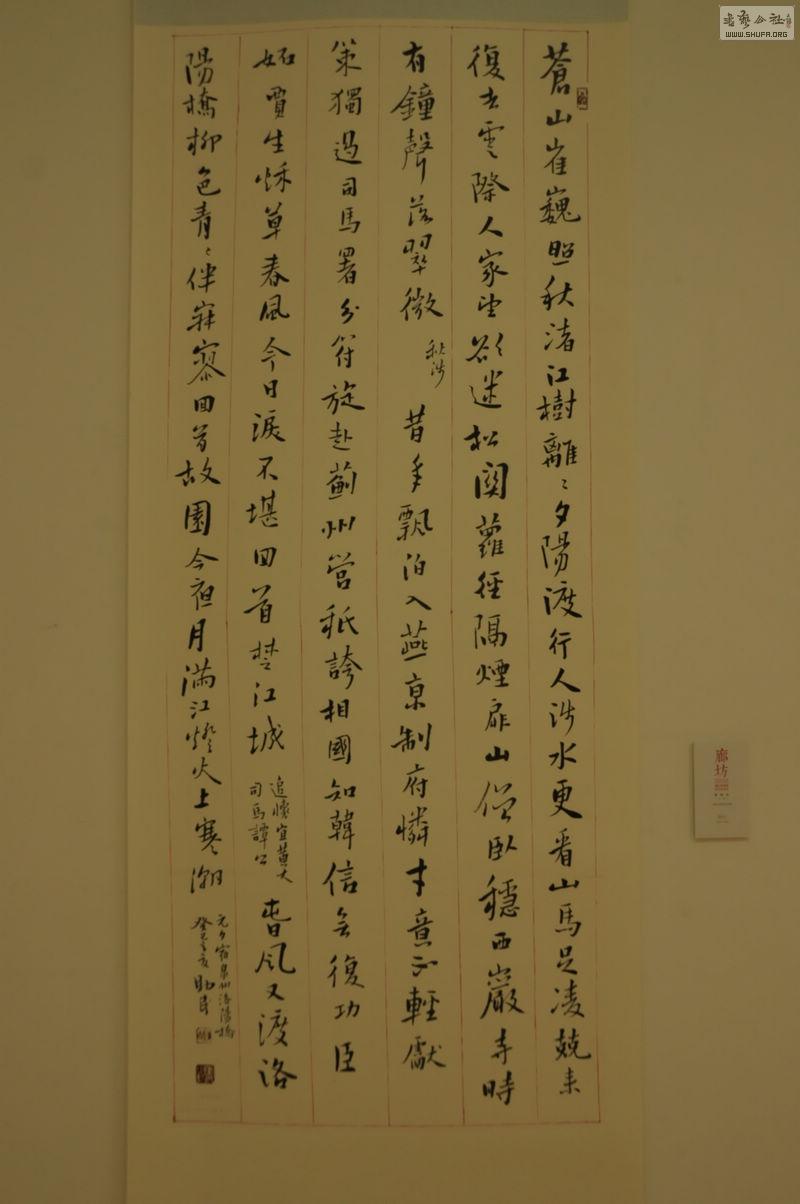 DSC_0113.jpg