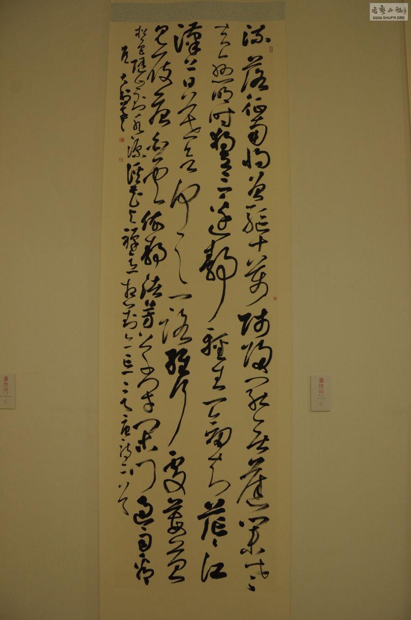DSC_0119.jpg