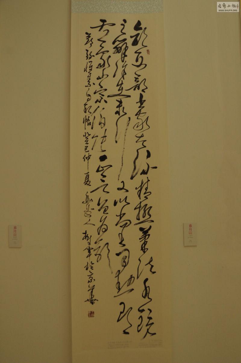 DSC_0127.jpg