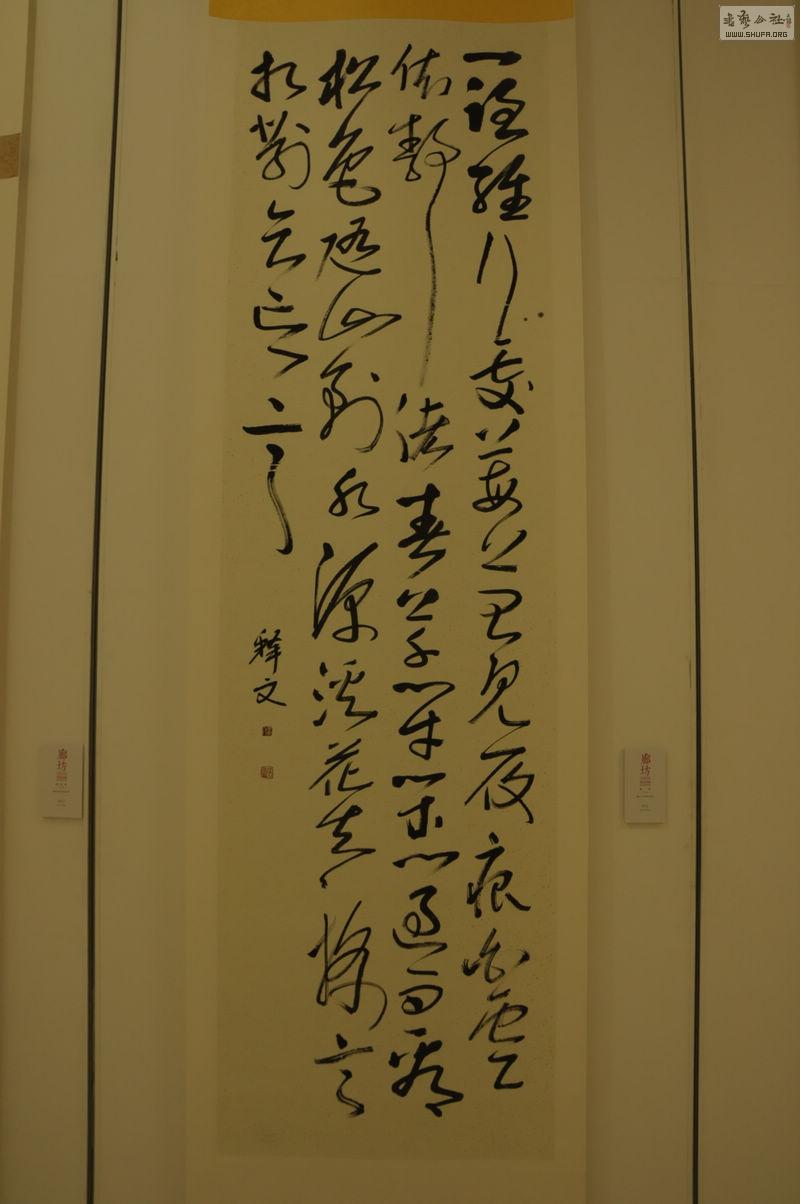 DSC_0133.jpg