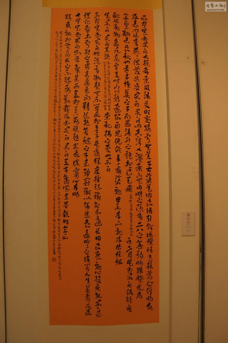 DSC_0154.jpg