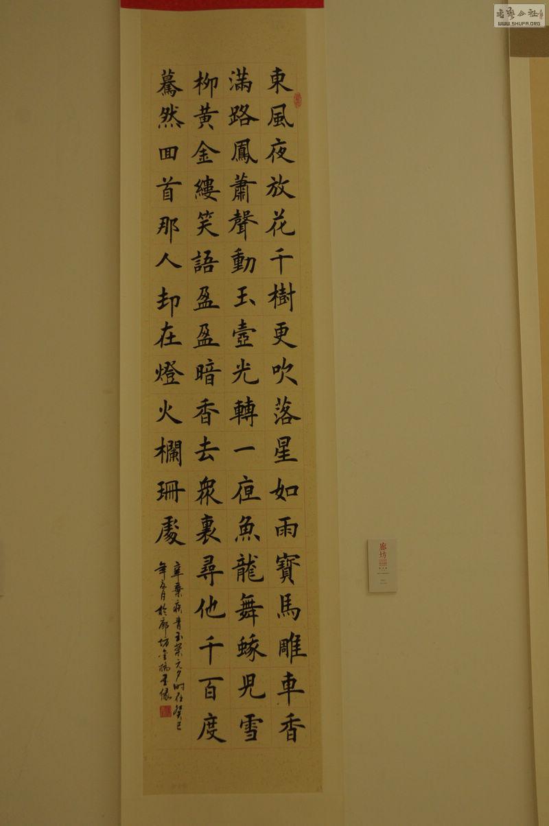 DSC_0192.jpg