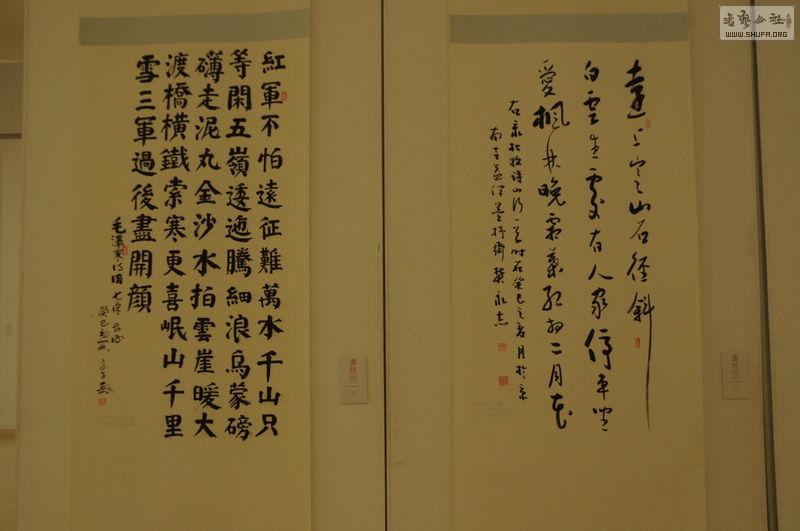 DSC_0207.jpg