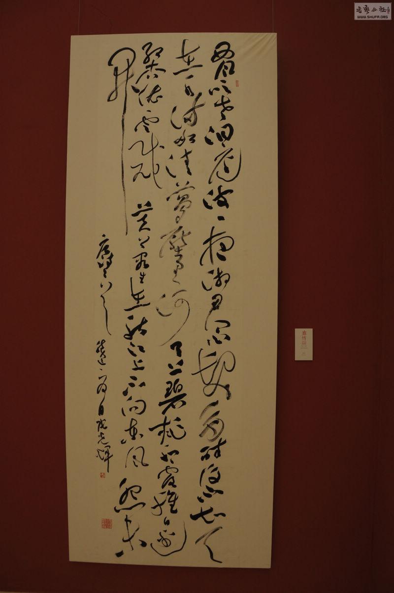 DSC_0290.jpg