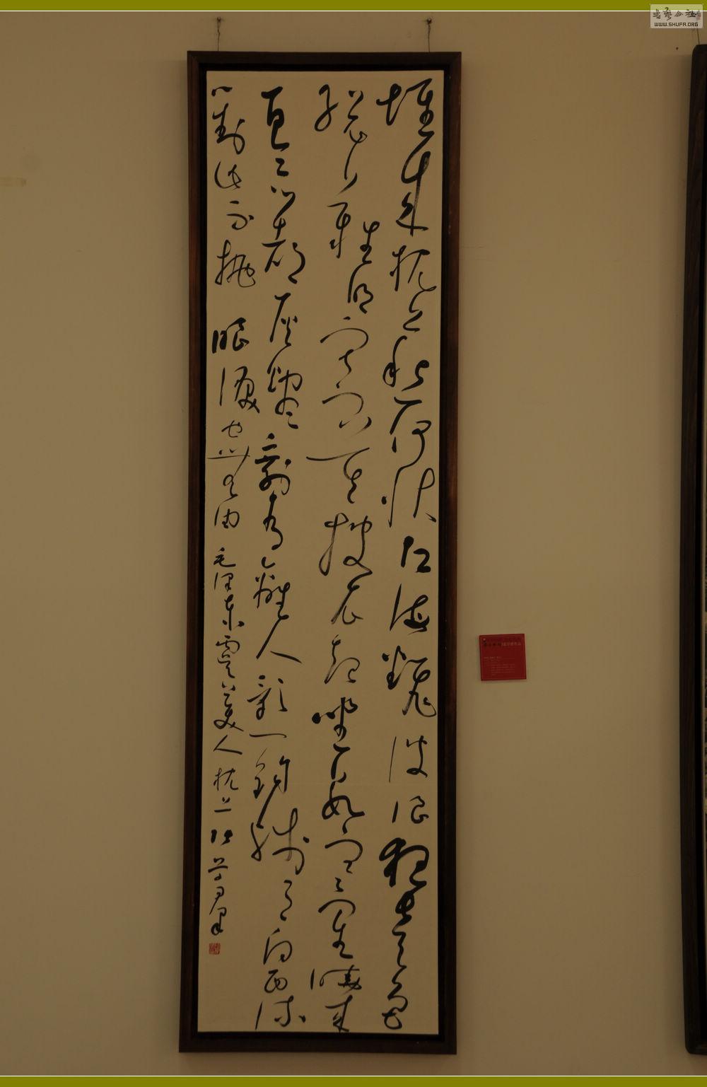 DSC_0059.jpg