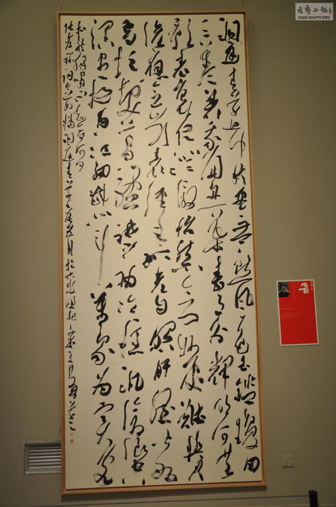DSC_0048.jpg