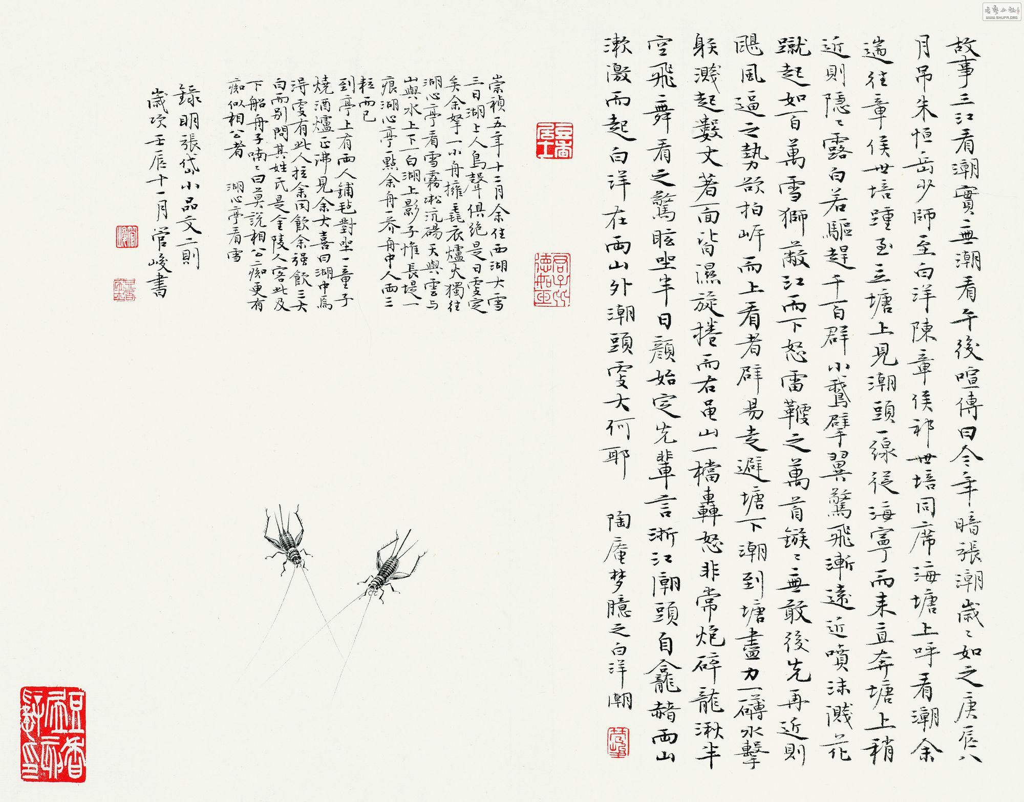 p175-13090556-7.jpg