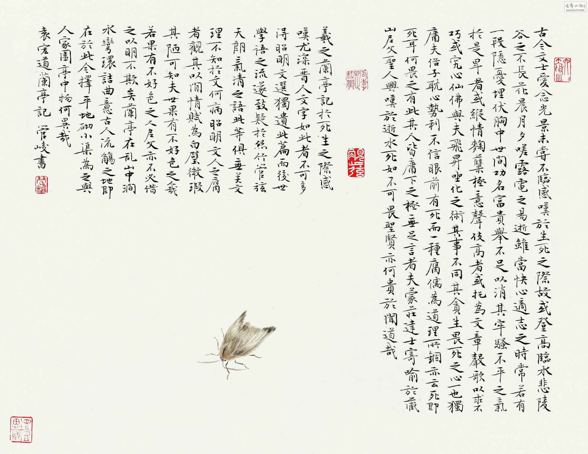 p176-13090556-7.jpg