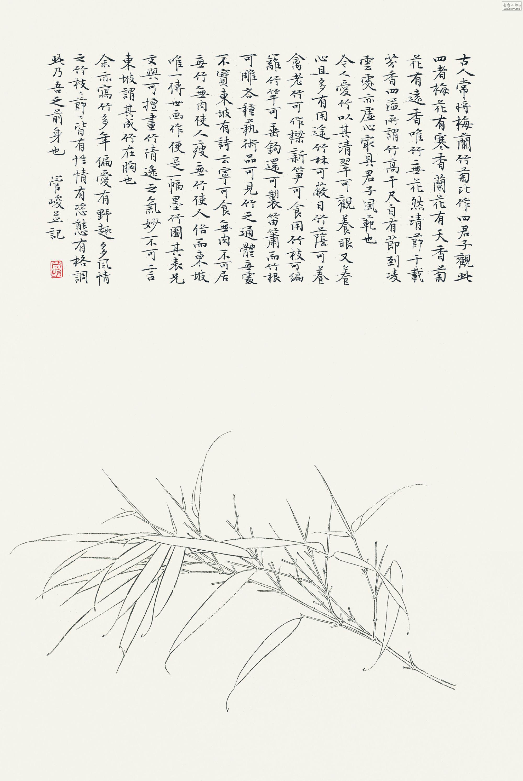 p253-13090556-10.jpg