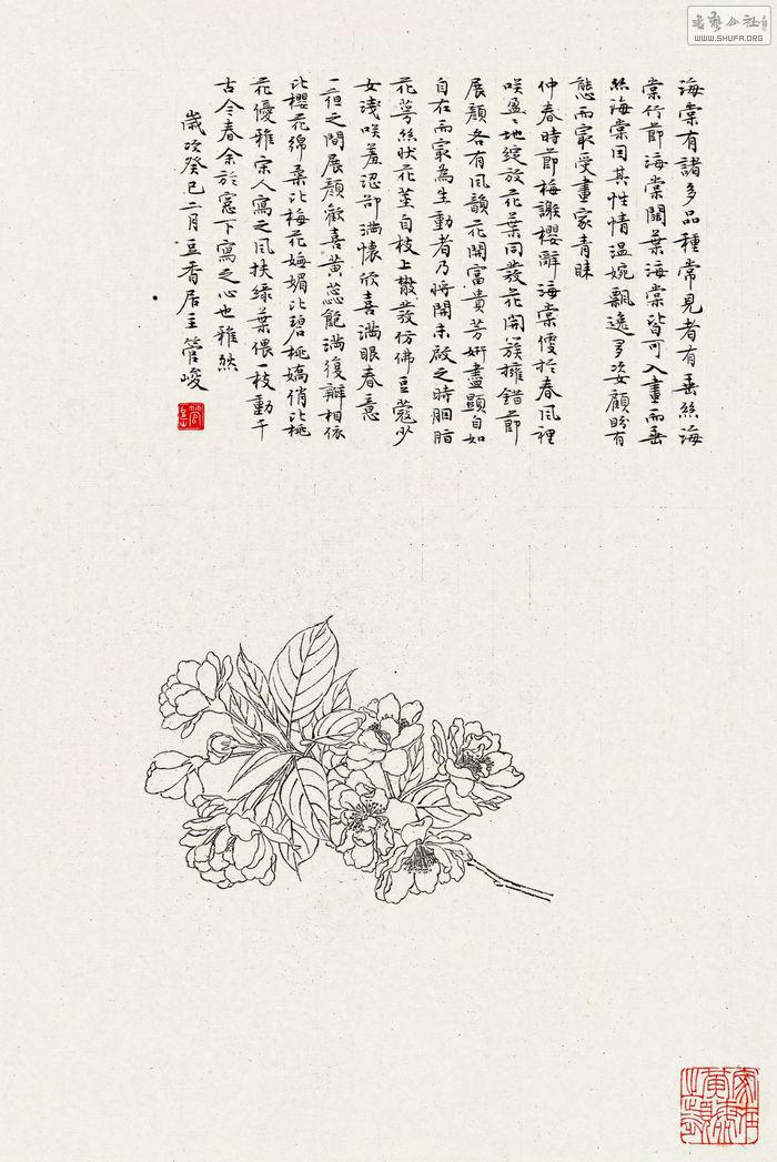 p261-13090556-10.jpg
