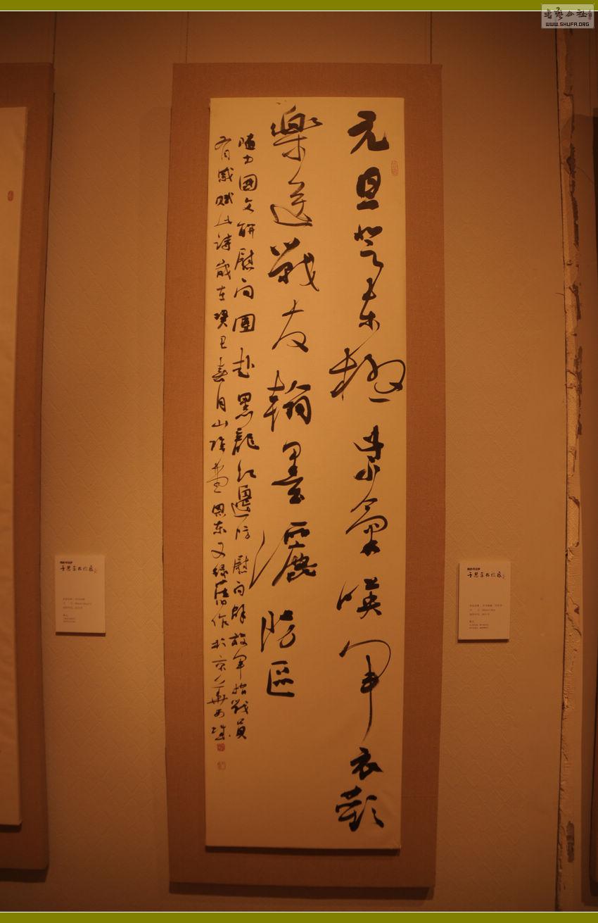 DSC_0100.jpg