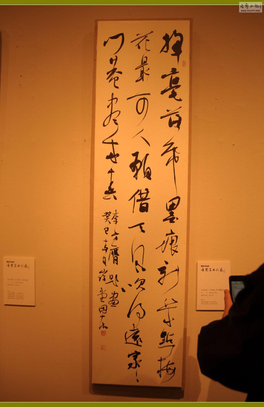 DSC_0174.jpg